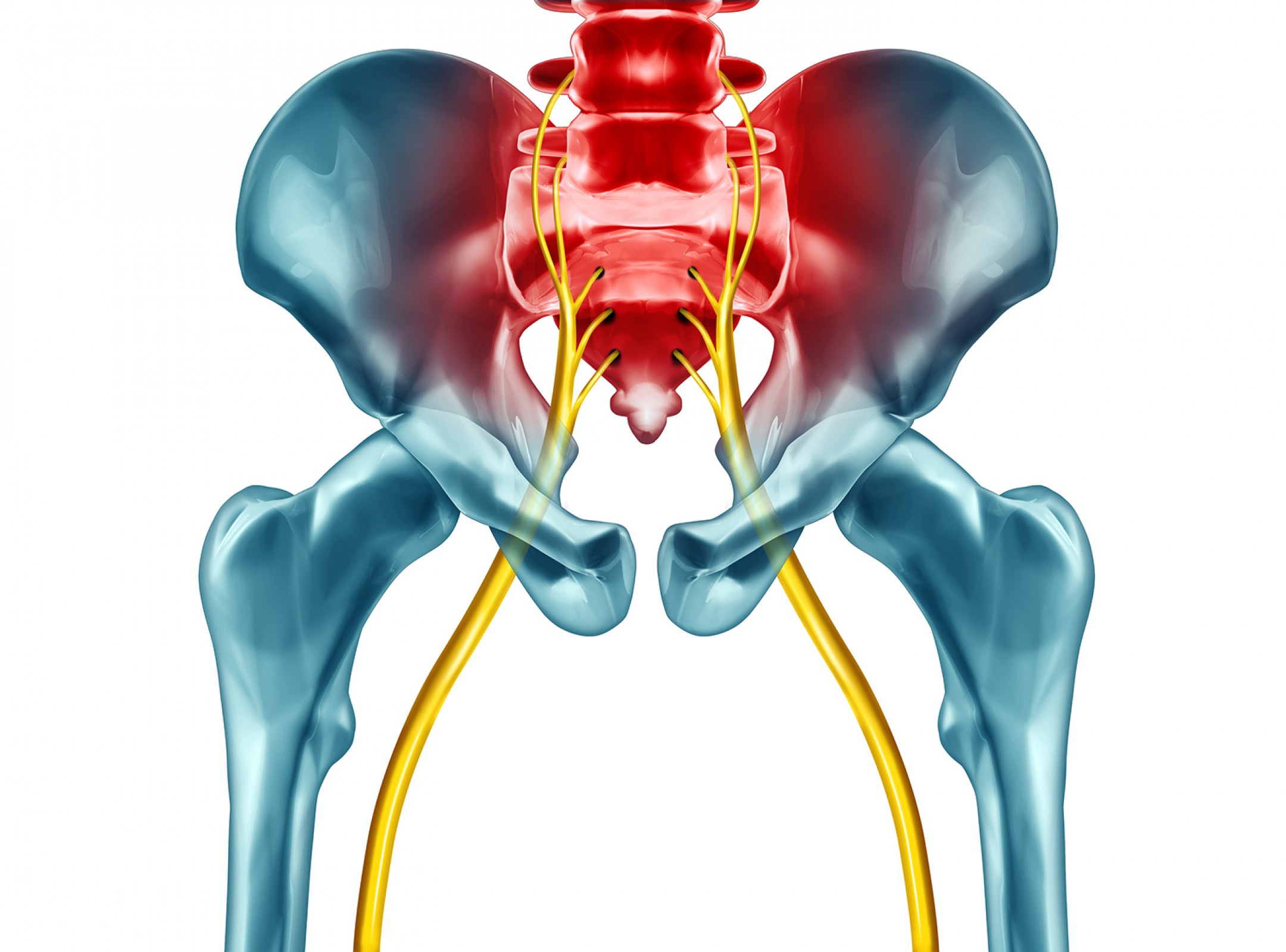 sciatica-low-back-and-disc-pain-the-american-chiropractor-march-2022