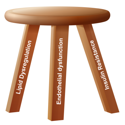 Understanding the Three-Legged Stool Concept - MAY 2024 | The American Chiropractor