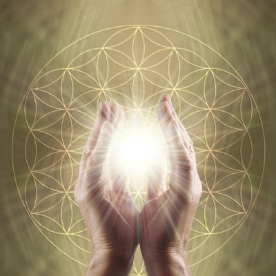 The Chiropractor’s Secret - DECEMBER | The American Chiropractor