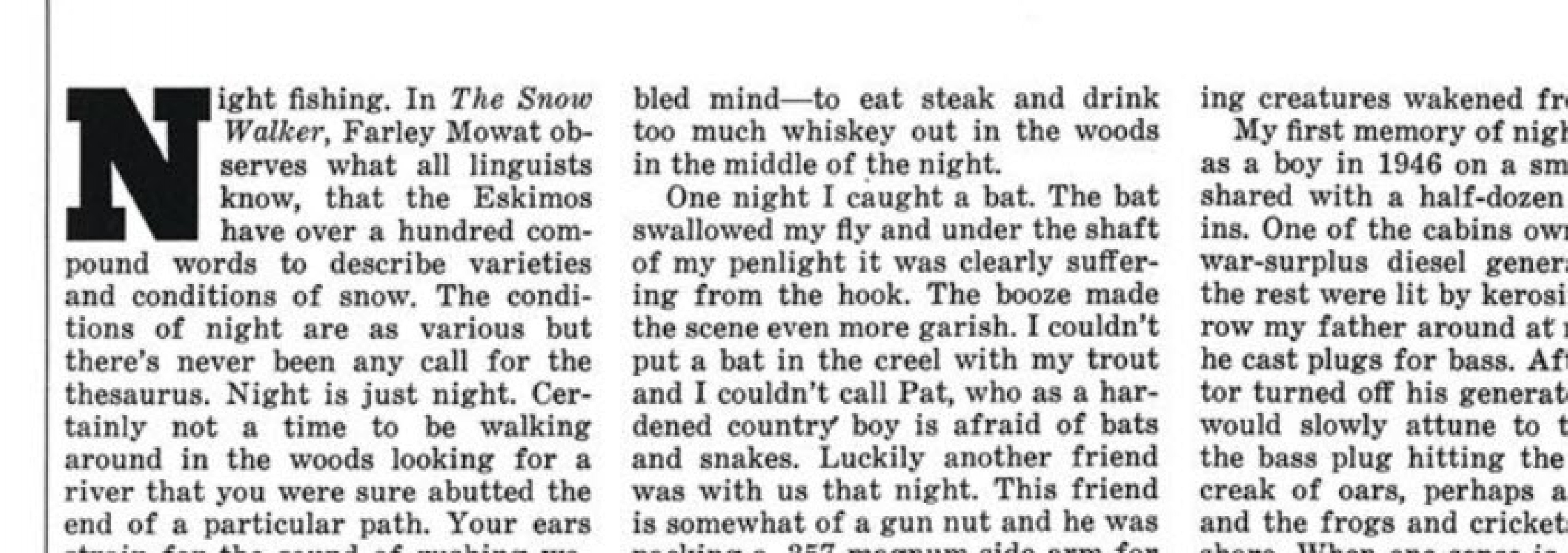 The River That Never Sleeps and the Window That Stayed Open