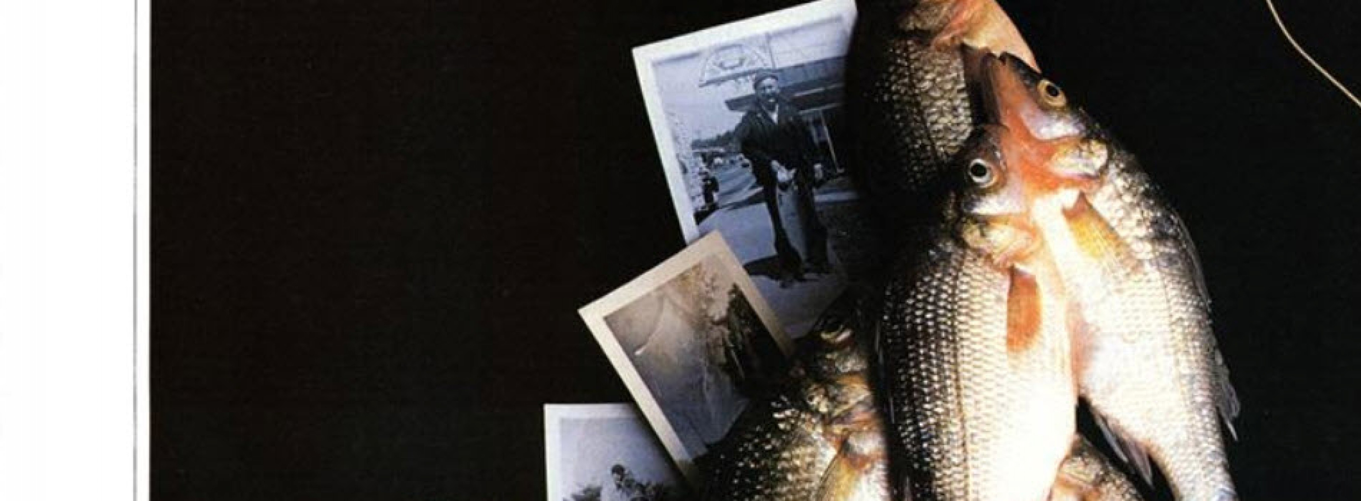 My Father S Life Esquire September 1984