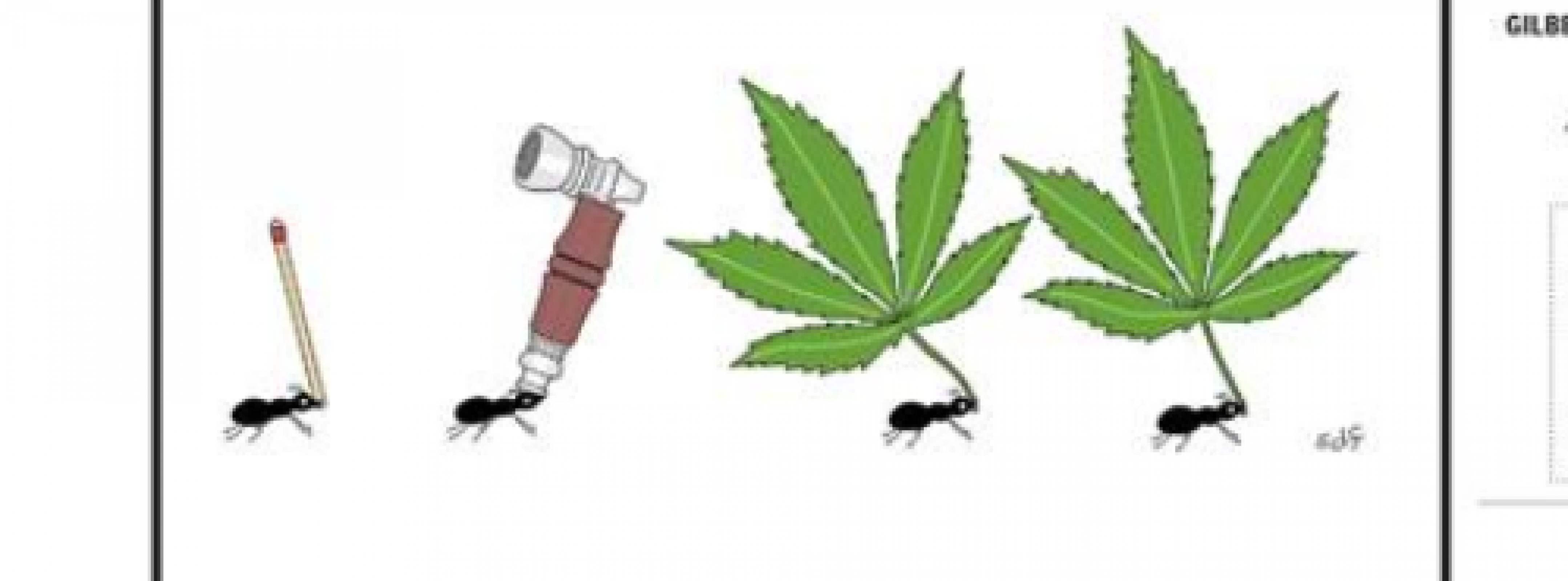 Spot On: Weed | Esquire | SEPTEMBER ’19